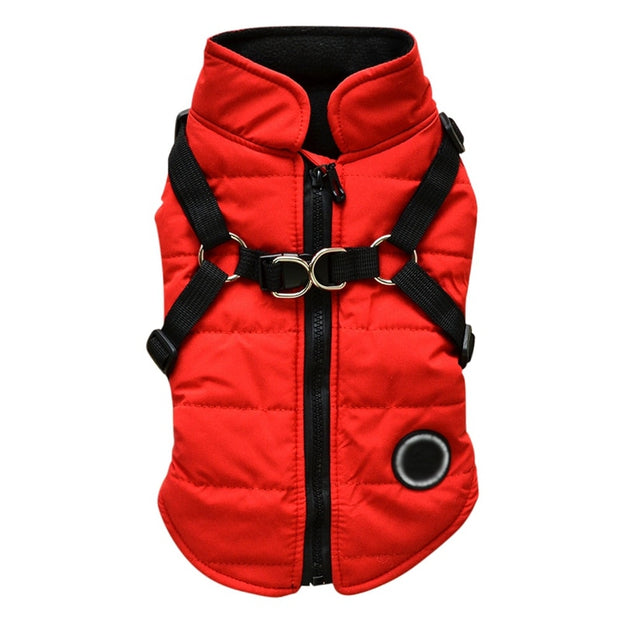 2 In 1 Pet Dog Jacket With Harness