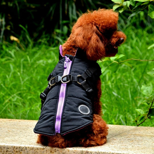 2 In 1 Pet Dog Jacket With Harness